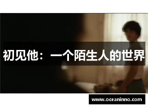 初见他：一个陌生人的世界